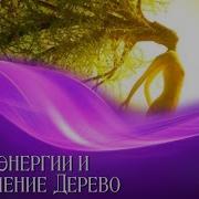 Медитация Набор Энергии И Заземление