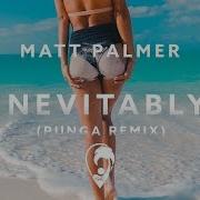 Matt Palmer Inevitably Punga Remix