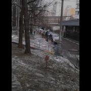 Гав Гав Сука