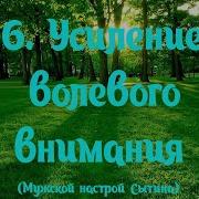 Настрои Г Н Сытина На Усиление Волевого Внимания Для Мужчин