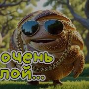 По Кличке Круглый Веселая