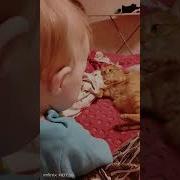 Он Идёт Ко Мне Это Плохо Я Прикинусь Стеной