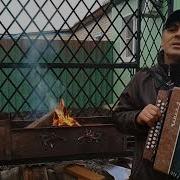 Песня Под Гармонь Белая Роза
