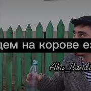 Каха И Серго Таёта Карова