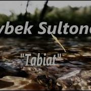 Oybek Sultonov Tabiat