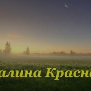 Григорий Метелица Калина Красная