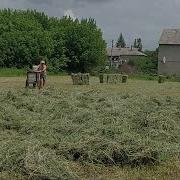 Саня Петух