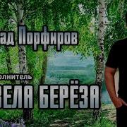 Зацвела Береза