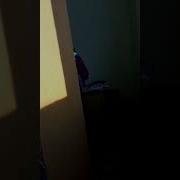 Чем Занимаются На Перемене