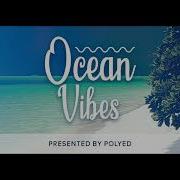 Polyed Ocean Vibes 016