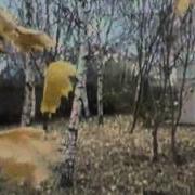 Тамара Миансарова Берёзы Светятся