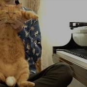 Fat Cat Waltz