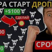 Ну И Как Теперь Ее Собирать