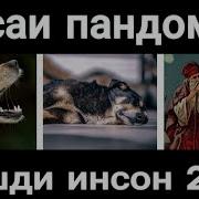 Пандомез