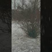 Ху Тао Когда Идет Снег