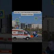 Че За Бизнес Мелстрой