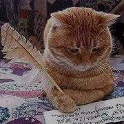 Письмо Кота На Деревню Бабушке