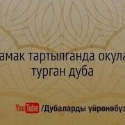 Тамак Тартылганда Окула Турган Дуба