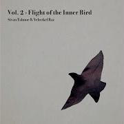 Flight Of The Inner Bird Sivan Talmor Yehezkel Raz