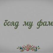 Саши Заифи Ту Бояд Му Фами