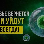 Исцеление Звуком Исцеление Медитацией Игорь Андреев