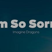 Imagine Dragons I M So Sorry