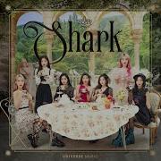 Oh My Girl Shark