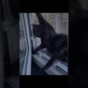 Я Уже 4 Часа Здесь Просидел