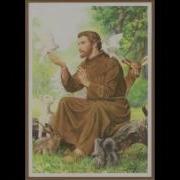 St Francis Of Assisi Chasoneta Farai Vencut