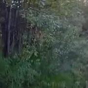 Видишь Как Вышло Цой