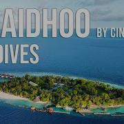 Ellaidhoo