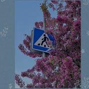 Вайбуем Мальчики Девочки