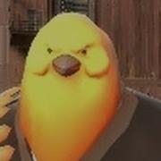 The Real Pootis Bird