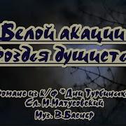 Белое Акации Гроздья Душистые Минус