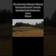 Из Алфавита Уберут Буквы