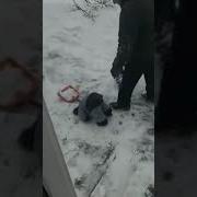 Это Я В Первый Рабочий День После Новогодних Праздников
