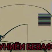 Дунёи Бе Вафо