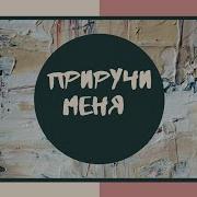 Фф Приручи Меня