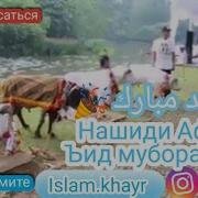 Нашиди Афгони