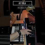 Homay Миди