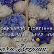 Дала Декъал Йойл Хьо Нана