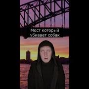 Бака Бака Бака Шепотом
