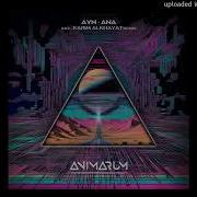 Ana Original Mix Ayn