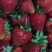 Песня Следуй За Мечтой Караоке