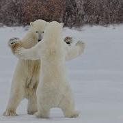 Песенка Про Медведей A Song About Bears Rus Eng Subtitles