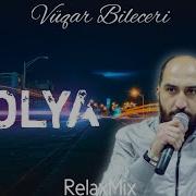 Dolya Vuqar Bileceri