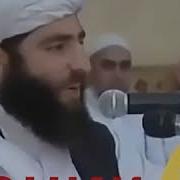 Хофизи Курон Точик