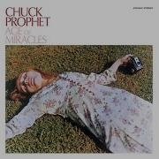 Chuck Prophet You Did Bomp Shooby Dooby Bomp
