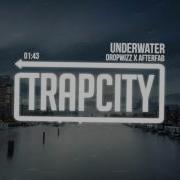 Dropwizz X Afterfab Underwater