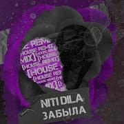 Niti Dila Забыла House Remix